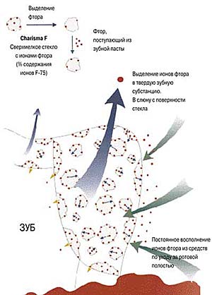 p_62_big.jpg (21157 bytes)